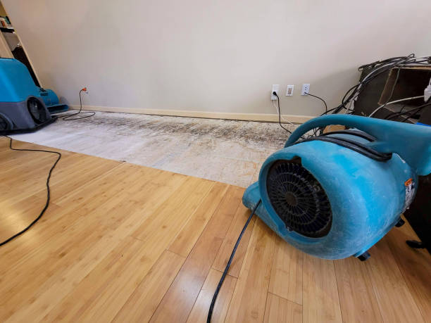 Professional Burst Pipe Water Damage technician working in Bremerton, WA